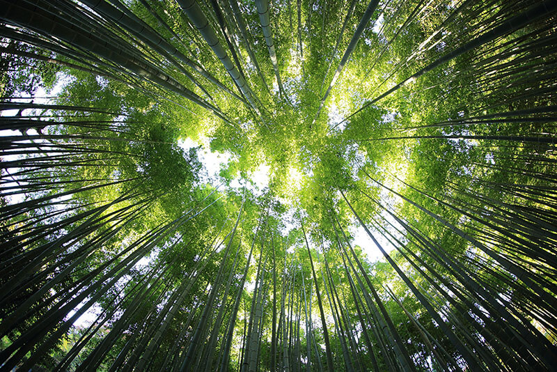 Sustainability On Homepage (1)