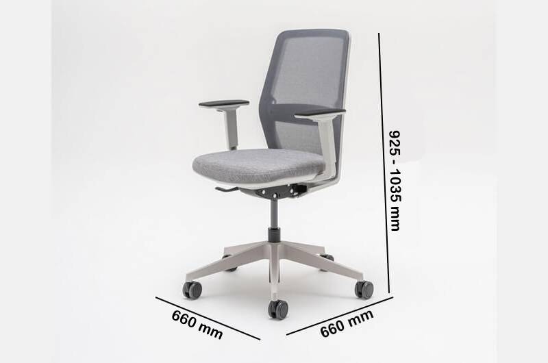 Ragni Office Chair With Mesh Backrest Dimension Image