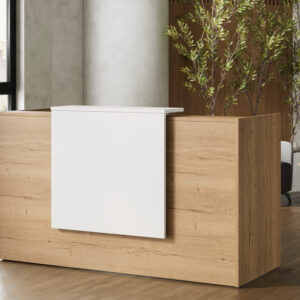 Okely – Straight Reception Desk With Overhang Panel And Side Panels 01